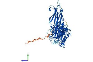 Protein Structure (PS) image for Copine II (CPNE2) (AA 1-548) protein (His tag) (ABIN7546795)