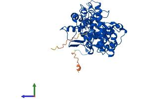 Protein Structure (PS) image for Farnesyltransferase subunit beta (FNTB) (AA 1-437) protein (His tag) (ABIN7547742)