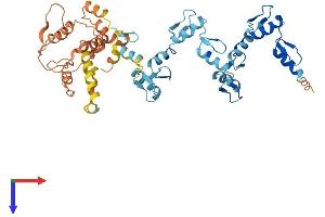ZNF610 Protein (AA 1-462) (His tag)