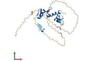 AlphaFold protein structure predicition of Mouse Recombinant Snai2 Protein, UniprotID P97469 (SLUG Protein (AA 1-269) (His tag))