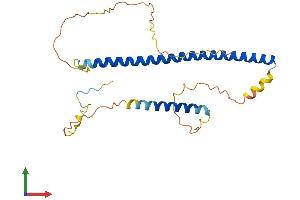 Protein Structure (PS) image for X-Box Binding Protein 1 (XBP1) (AA 1-261) protein (His tag) (ABIN7556033)