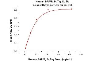 ELISA image for Tumor Necrosis Factor Receptor Superfamily, Member 13C (TNFRSF13C) (AA 7-71) (Active) protein (Fc Tag) (ABIN5526588)