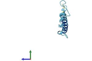 AlphaFold protein structure predicition of Mouse Recombinant Ndufa4l2 Protein, UniprotID Q4FZG9 (NDUFA4L2 Protein (AA 1-87) (Fc Tag))