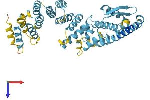 PSMD13 Protein (AA 1-376) (His tag)