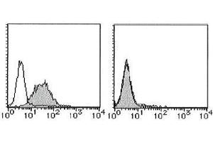 Flow Cytometry (FACS) image for anti-CD274 (PD-L1) antibody (Biotin) (ABIN2853592) (PD-L1 Antikörper  (Biotin))