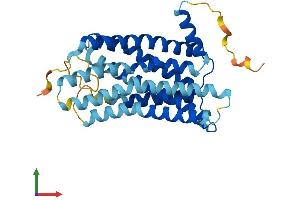 Protein Structure (PS) image for G Protein-Coupled Receptor 31 (GPR31) (AA 1-319) protein (His tag) (ABIN7548084)