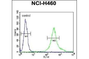 Flow Cytometry (FACS) image for anti-Lipid Phosphate Phosphatase-Related Protein Type 4 (LPPR4) (AA 666-695), (C-Term) antibody (ABIN651164)