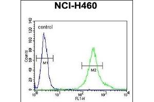 LR4 Antibody (C-term) (ABIN651164 and ABIN2840106) flow cytometric analysis of NCI- cells (right histogram) compared to a negative control cell (left histogram).