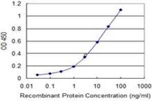 Detection limit for recombinant GST tagged MLLT6 is 0. (MLLT6 Antikörper  (AA 1-462))