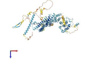 NOC3L Protein (AA 1-807) (His tag)