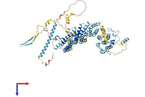NOC3L Protein (AA 1-807) (His tag)