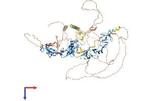 ABLIM1 Protein (AA 1-861) (His tag)