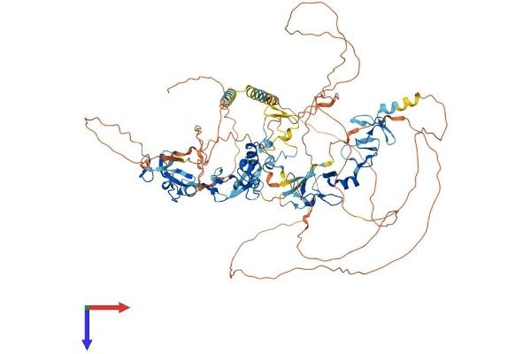 ABLIM1 Protein (AA 1-861) (His tag)