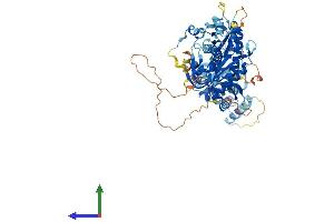 Protein Structure (PS) image for Guanylate Cyclase 1 Soluble Subunit Alpha (GUCY1A1) (AA 1-691) protein (His tag) (ABIN7561441)