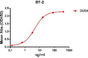 ELISA plate pre-coated by 2 μg/mL (100 μL/well) Human B7-2 protein, mFc-His tagged protein ((ABIN6961107, ABIN7042243 and ABIN7042244)) can bind Rabbit anti-B7-2 monoclonal antibody(clone: DM84) in a linear range of 1-100 ng/mL. (CD86 Antikörper  (AA 26-247))