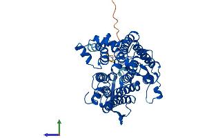 Protein Structure (PS) image for 7-Dehydrocholesterol Reductase (DHCR7) (AA 1-471) protein (His tag) (ABIN7562607)