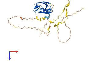 PDZD9 Protein (AA 1-266) (His tag)