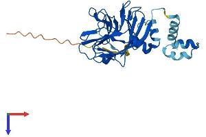 SPSB4 Protein (AA 1-273) (His tag)