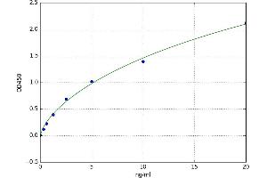4-Hydroxy-2-Oxoglutarate Aldolase 1 (HOGA1) ELISA Kit