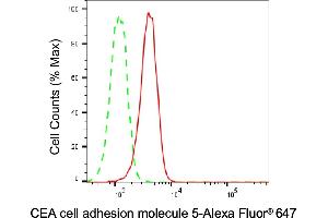 Flow cytometric analysis of CEA cell adhesion molecule 5 expression in A549 cells using CEA cell adhesion molecule 5 antibody (ABIN7797875), 1:1,000). (CEACAM5 Antikörper)