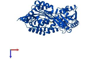 ALDH8A1 Protein (AA 1-487) (His tag)
