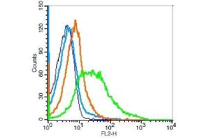 Flow Cytometry (FACS) image for anti-CD36 (CD36) (AA 51-150) antibody (ABIN737661)