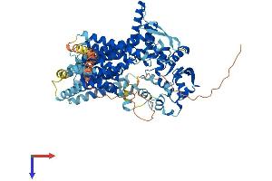 DPY19L2 Protein (AA 1-758) (His tag)