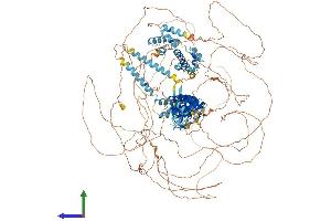 AlphaFold protein structure predicition of Mouse Recombinant Caskin1 Protein, UniprotID Q6P9K8