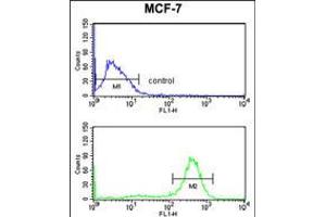 Flow cytometry analysis of MCF-7 cells (bottom histogram) compared to a negative control cell (top histogram). (CHPF Antikörper  (AA 327-354))