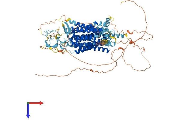 SLCO5A1 Protein (AA 1-848) (His tag)