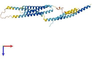Syntaxin 16 Protein (STX16) (AA 1-325) (His tag)