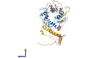 AlphaFold protein structure predicition of Human Recombinant ZNF561 Protein, UniprotID Q8N587