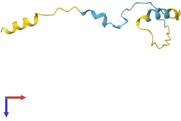 CDC42SE2 Protein (AA 1-84) (Fc Tag)