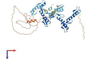ZNF627 Protein (AA 1-461) (His tag)