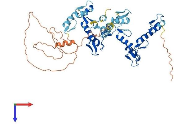ZNF627 Protein (AA 1-461) (His tag)