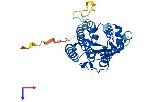 DCK Protein (AA 1-260) (His tag)