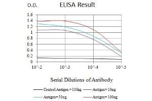 Black line: Control Antigen (100 ng),Purple line: Antigen (10 ng), Blue line: Antigen (50 ng), Red line:Antigen (100 ng) (Myoglobin Antikörper  (AA 2-154))