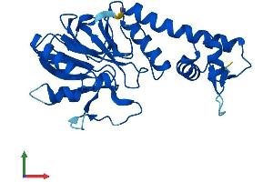 Protein Structure (PS) image for Lactamase, beta 2 (LACTB2) (AA 1-288) protein (His tag) (ABIN7549013)