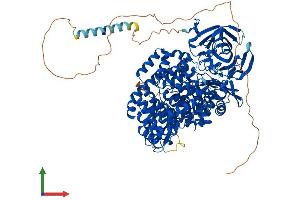 Protein Structure (PS) image for Leucyl/cystinyl Aminopeptidase (LNPEP) (AA 1-1025) protein (His tag) (ABIN7564493)