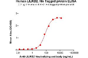 ELISA image for Leukocyte Immunoglobulin-Like Receptor, Subfamily B (With TM and ITIM Domains), Member 2 (LILRB2) (AA 22-461) protein (His tag) (ABIN7490895)