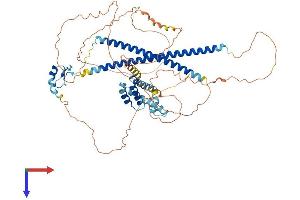 CBFA2T3 Protein (AA 1-653) (His tag)
