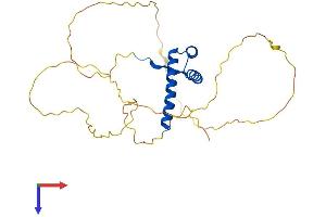 HOXD12 Protein (AA 1-268) (His tag)
