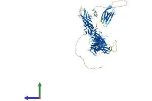 AlphaFold protein structure predicition of Human Recombinant MYBPC1 Protein, UniprotID Q00872
