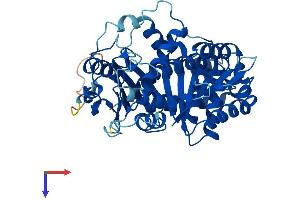 TUBD1 Protein (AA 1-455) (His tag)
