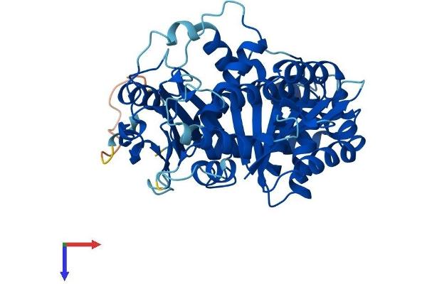 TUBD1 Protein (AA 1-455) (His tag)