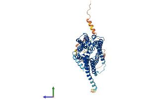 AlphaFold protein structure predicition of Human Recombinant SLC19A2 Protein, UniprotID O60779 (SLC19A2 Protein (AA 1-497) (His tag))