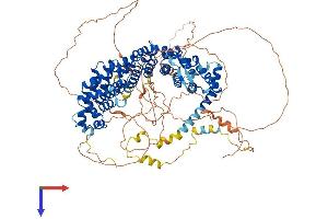 SAPS2 Protein (AA 1-923) (His tag)
