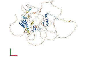 Protein Structure (PS) image for DBF4 Homolog (DBF4) (AA 1-663) protein (His tag) (ABIN7561814)
