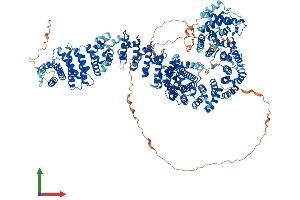 AlphaFold protein structure predicition of Mouse Recombinant Pds5a Protein, UniprotID Q6A026