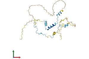 Protein Structure (PS) image for Myozenin 3 (MYOZ3) (AA 1-251) protein (His tag) (ABIN7549606)